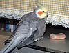 2005N1016̎ʐ^