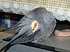 2005N1016̎ʐ^