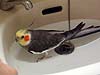 2006N617̎ʐ^