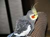 2007N317̎ʐ^