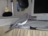 2007N818̎ʐ^