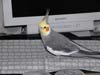 2007N818̎ʐ^