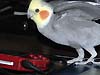 2008N216̎ʐ^