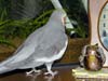 2008N223̎ʐ^