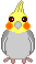 IJACR