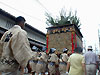Rgs5