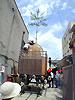 Rgs7