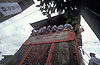 Rgs11