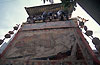 Rgs12