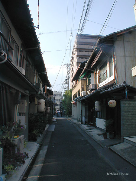 Zpʂ肠