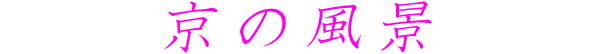 ̕i