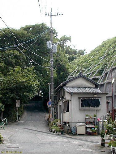 ȎU