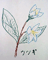 1999年4月