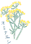 1999年7月