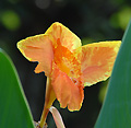 2006年08月