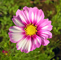 2006年09月