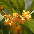 2006年10月