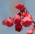 2007年02月