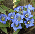 2007年10月