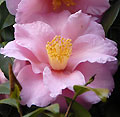 2008年02月