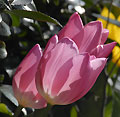 2008年03月