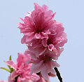 2008年04月