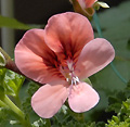 2008年05月