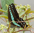 2008年07月