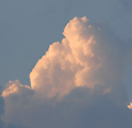 2008年08月