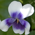 2009年07月