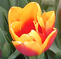 2011年03月