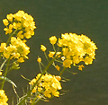 2011年4月