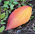 2012年11月