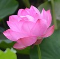 2013年07月