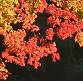 2013年11月