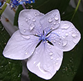 2010年06月