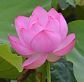 2014年07月