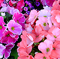 2015年4月