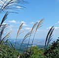 2015年9月