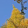 2015年12月