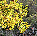 2018年11月