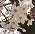 2019年04月