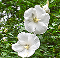 2019年07月
