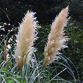 2019年10月