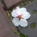 2021年04月
