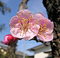 2022年03月