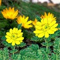 2001年01月