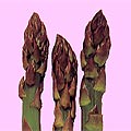 2004年05月