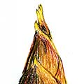 2004年04月