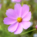 2001年10月